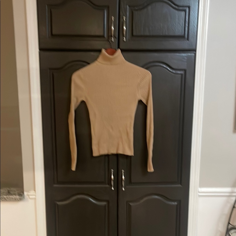 Express Camel Ribbed Turtleneck